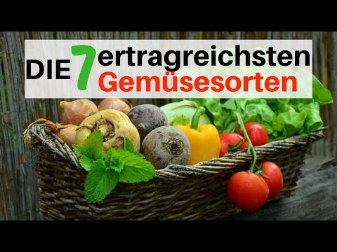 eine Anleitung für Einsteiger