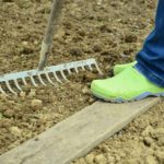 Selbstversorger-Garten - eine Anleitung für Einsteiger